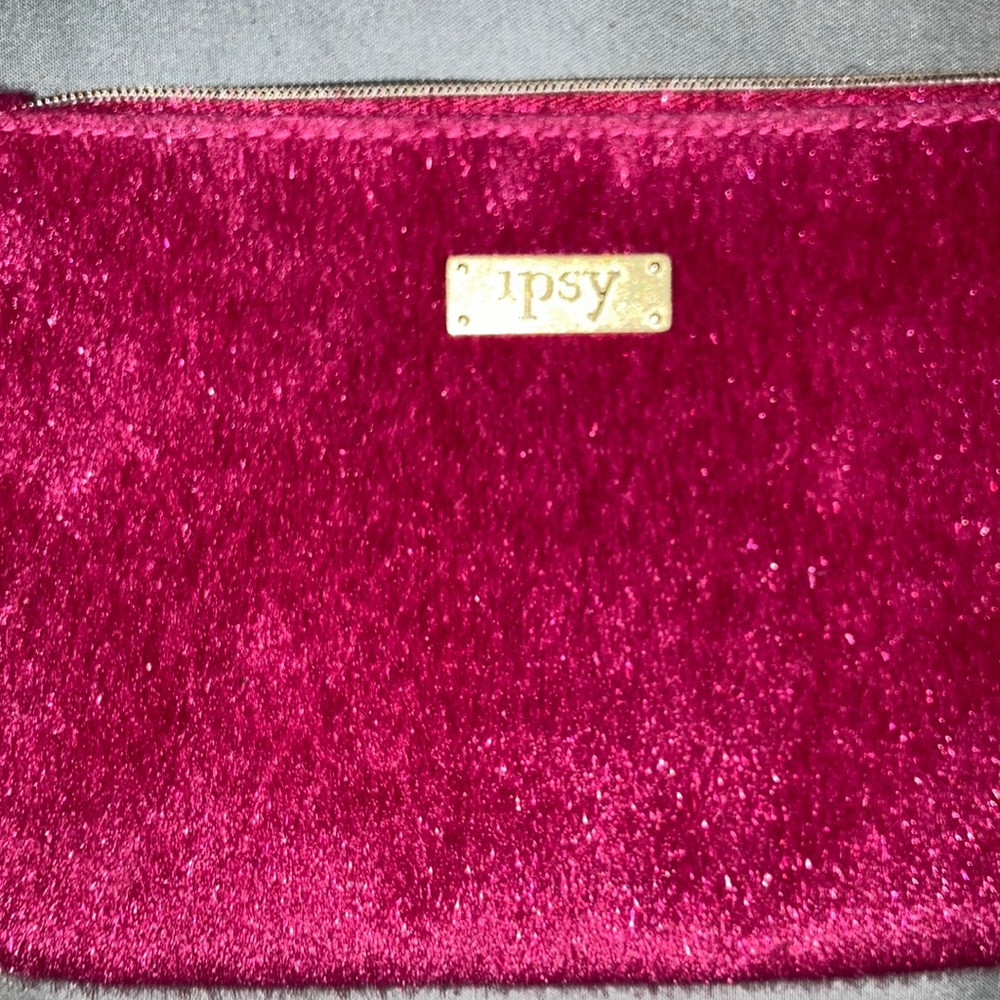 Euc Ipsy pouch 😍Host-Pick!